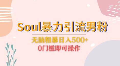 Soul暴力引流男粉玩法，无脑粗暴日入500＋，0门槛即可操作【揭秘】-千寻创业网