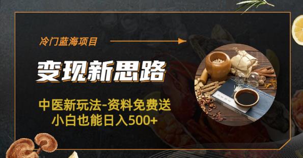 冷门蓝海项目-中医新玩法-资料免费送小白也能日入500+【揭秘】-千寻创业网