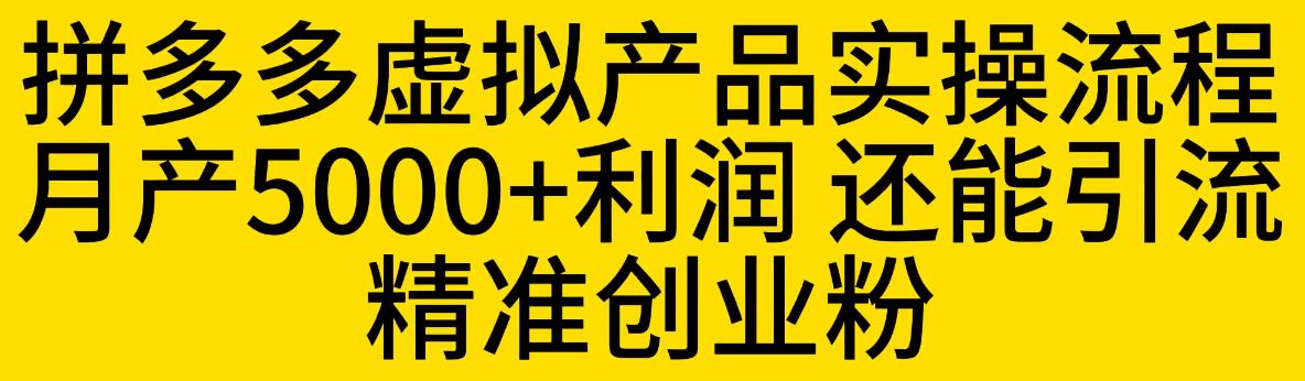拼多多虚拟产品实操流程，月产5000+利润，还能引流精准创业粉【揭秘】-千寻创业网