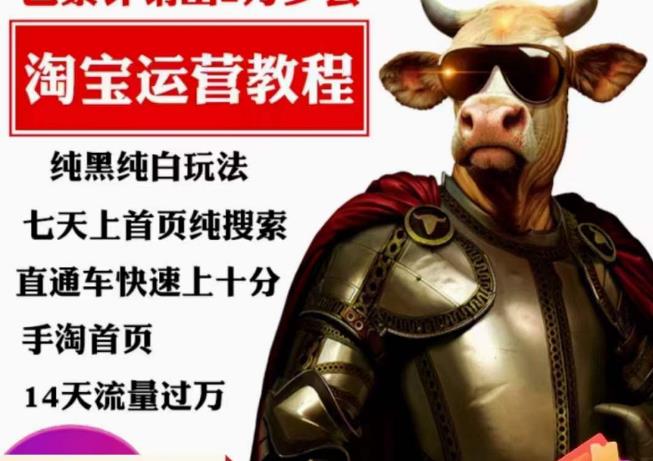 猫老师·淘系算法逆向解密，​纯黑纯白玩法，七天上首页纯搜索，手淘首页14天流量过万-千寻创业网