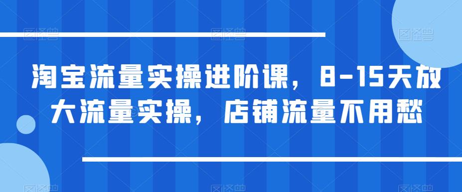淘宝流量实操进阶课，8-15天放大流量实操，店铺流量不用愁-千寻创业网