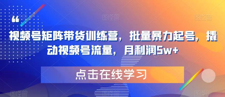 视频号矩阵带货训练营，批量暴力起号，撬动视频号流量，月利润5w+-千寻创业网