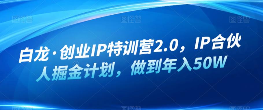 白龙·创业IP特训营2.0，IP合伙人掘金计划，做到年入50W-千寻创业网