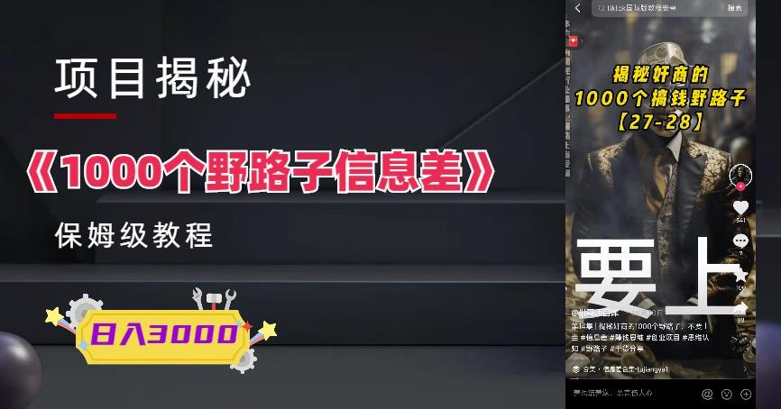 1000个野路子信息差保姆式教程-单日变现3000+的玩法解密-千寻创业网