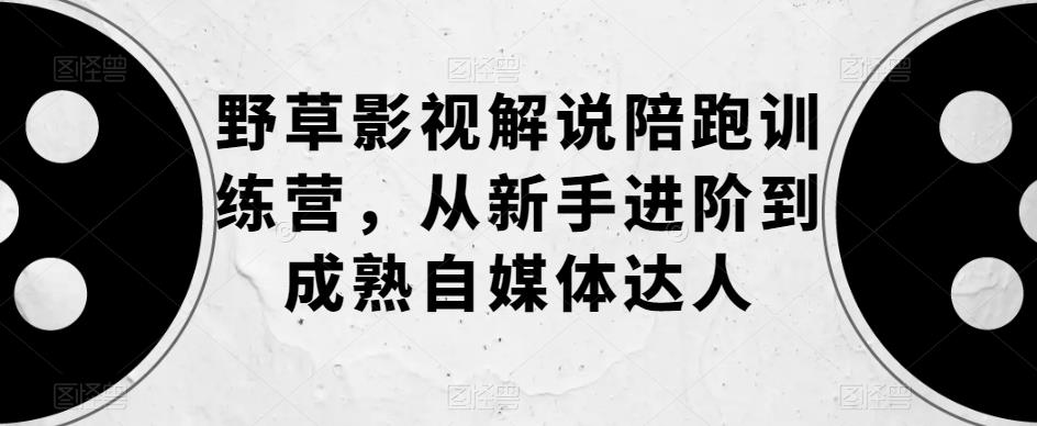 野草影视解说陪跑训练营，从新手进阶到成熟自媒体达人-千寻创业网