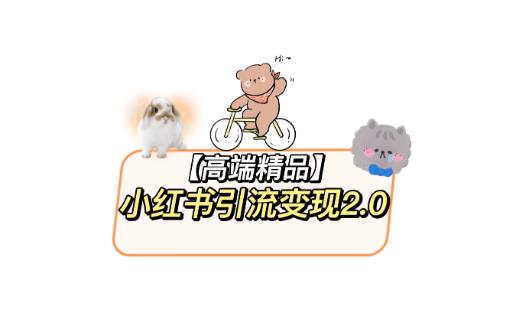 小红书最新引流变现教程，全网最新最详细的视频教程以及素材-千寻创业网