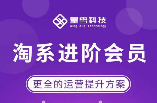 星雪·淘系进阶课程，快速提升突破技能流量瓶颈必备（更新2023年5月）-千寻创业网