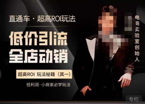 电商冰可乐·直通车·《低价引流·全店动销》，直通车·超高ROI玩法（其一）全店动销必学玩法-千寻创业网