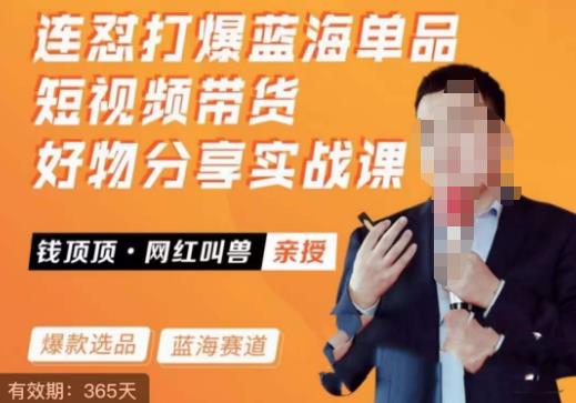 网红叫兽·连怼打爆蓝海单品，短视频带货好物分享实战课-千寻创业网