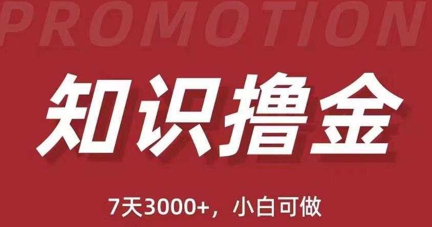 抖音知识撸金项目：简单粗暴日入1000+执行力强当天见收益(教程+资料)-千寻创业网