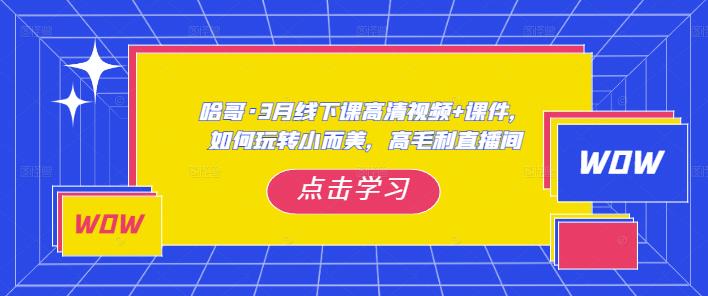 哈哥·3月线下实操课高清视频+课件，如何玩转小而美，高毛利直播间-千寻创业网