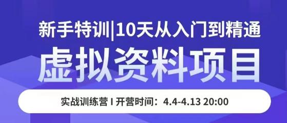 虚拟资料项目新手特训，10天从入门到精通，保姆级实操教学-千寻创业网