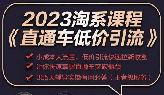 2023直通车低价引流玩法课程，小成本大流量，低价引流快速拉新收割，让你快速掌握直通车突破瓶颈-千寻创业网
