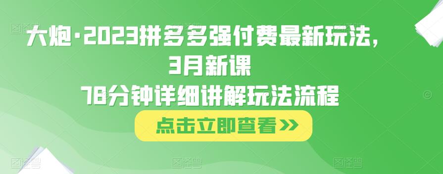 大炮·2023拼多多强付费最新玩法，3月新课​78分钟详细讲解玩法流程-千寻创业网