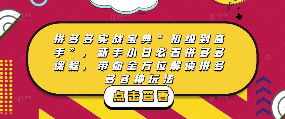 拼多多实战宝典“初级到高手”，新手小白必看拼多多课程，带你全方位解读拼多多各种玩法-千寻创业网