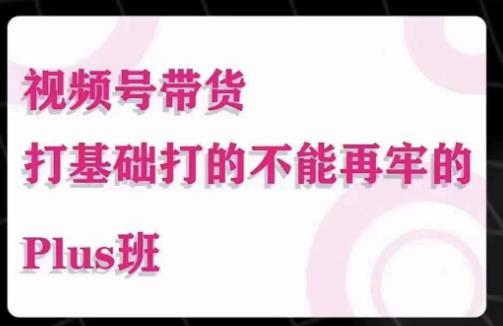 大播汇·视频号带货Puls班，视频号底层逻辑，起号自然流鱼塘等玩法-千寻创业网
