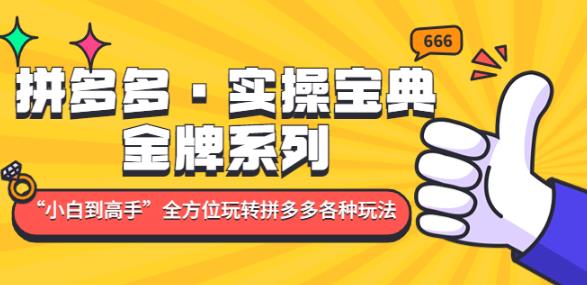 拼多多·实操宝典：金牌系列“小白到高手”带你全方位玩转拼多多各种玩法-千寻创业网