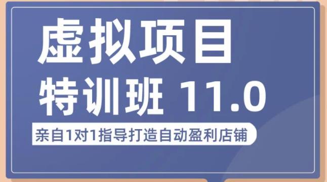 陆明明·虚拟项目特训班（10.0+11.0），0成本获取虚拟素材，0基础打造自动盈利店铺-千寻创业网