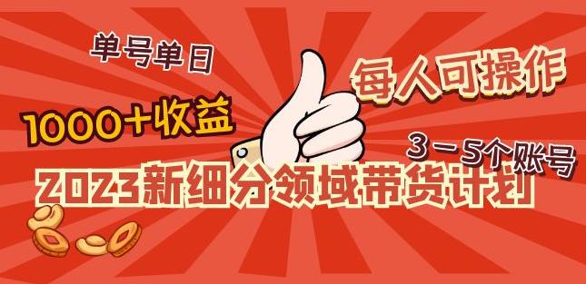 2023新细分领域带货计划：单号单日1000+收益不难，每人可操作3-5个账号-千寻创业网