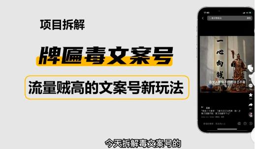 2023抖音快手毒文案新玩法，牌匾文案号，起号快易变现-千寻创业网