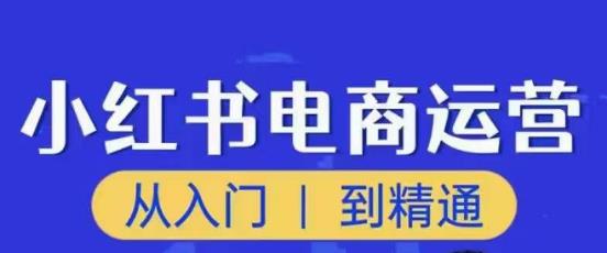 顽石小红书电商高阶运营课程，从入门到精通，玩法流程持续更新-千寻创业网