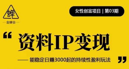 资料IP变现，能稳定日赚3000起的持续性盈利玩法-千寻创业网