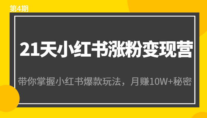 21天小红书涨粉变现营：带你掌握小红书爆款玩法，月赚10W+秘密-千寻创业网