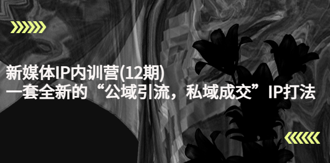 新媒体IP内训营(12期)，一套全新的“公域引流，私域成交”IP打法，直接带走-千寻创业网