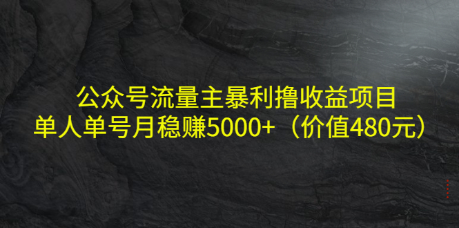 公众号流量主暴利撸收益项目，单人单号月稳赚5000+（价值480元）-千寻创业网