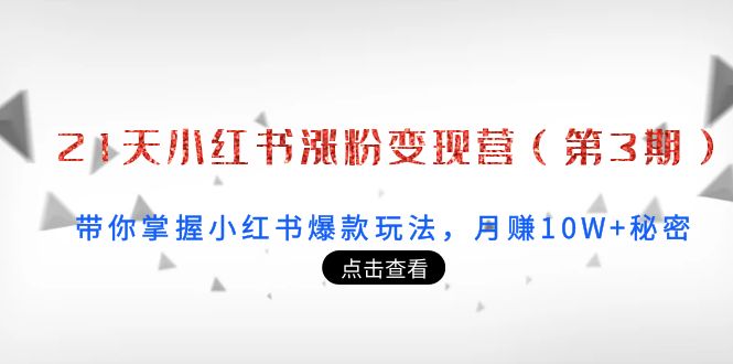 21天小红书涨粉变现营：带你掌握小红书爆款玩法，月赚10W+秘密-千寻创业网