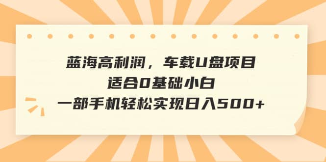 蓝海高利润，车载U盘项目，适合0基础小白，一部手机轻松实现日入500+-千寻创业网