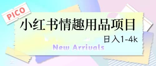 最新小红书情趣用品项目，日入1-4k-千寻创业网