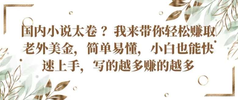 国内小说太卷 ?带你轻松赚取老外美金，简单易懂，小白也能快速上手，写的越多赚的越多【揭秘】-千寻创业网