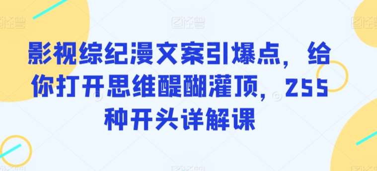 影视综纪漫文案引爆点，给你打开思维醍醐灌顶，255种开头详解课-千寻创业网