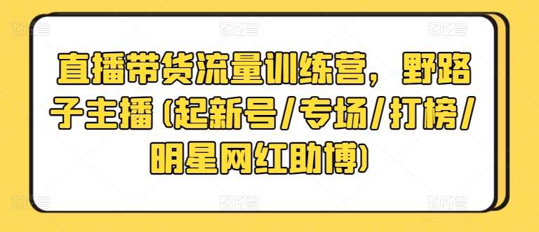 直播带货流量训练营，野路子主播(起新号/专场/打榜/明星网红助博)-千寻创业网