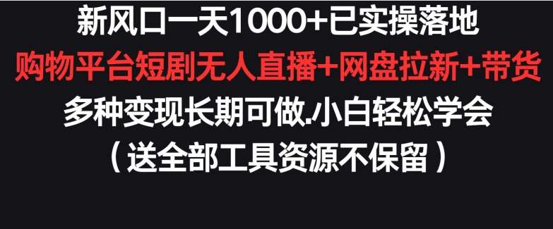 新风口一天1000+已实操落地购物平台短剧无人直播+网盘拉新+带货多种变现长期可做【揭秘】-千寻创业网