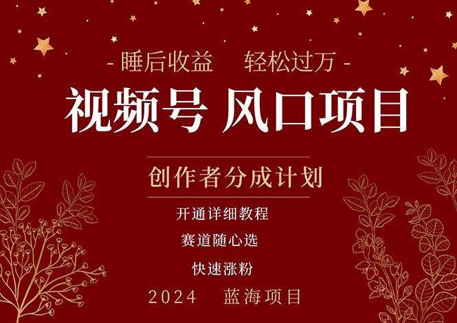 （11331期）拥有睡眠收益的微信视频号大风口项目，轻松月入过万+，多赛道选择，可…-千寻创业网