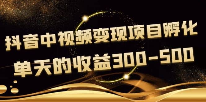 黄岛主《抖音中视频变现项目孵化》单天的收益300-500 操作简单粗暴-千寻创业网