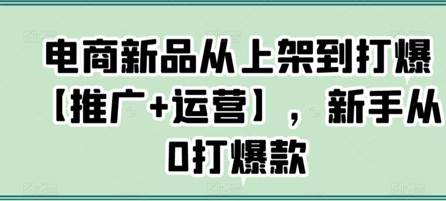 电商新品从上架到打爆【推广+运营】，新手从0打爆款-千寻创业网