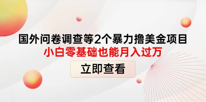 国外问卷调查等2个暴力撸美元项目，小白零基础也能月入过万-千寻创业网