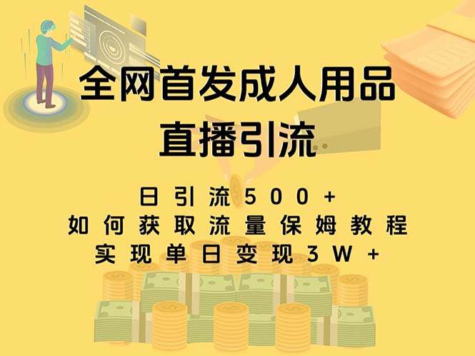 （8193期）最新全网独创首发，成人用品直播引流获客暴力玩法，单日变现3w保姆级教程-千寻创业网