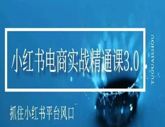 小红书电商实战精通课3.0，抓住小红书平台的风口，不错过有一个赚钱的机会-千寻创业网