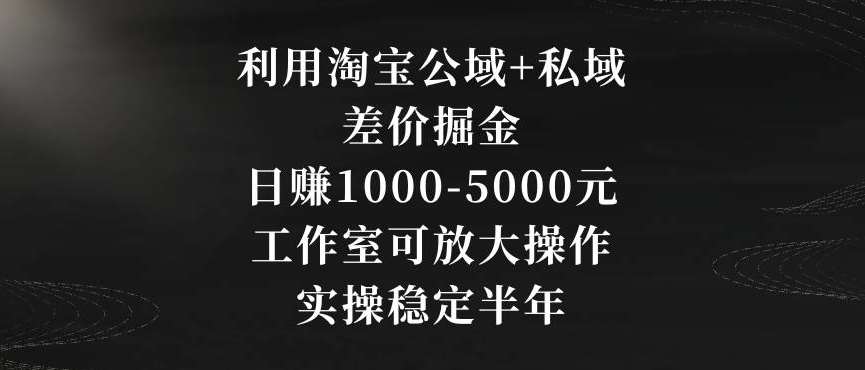 利用淘宝公域+私域差价掘金，日赚1000-5000元，工作室可放大操作，实操稳定半年【揭秘】-千寻创业网