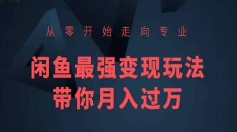从零开始走向专业，闲鱼最强变现玩法带你月入过万-千寻创业网