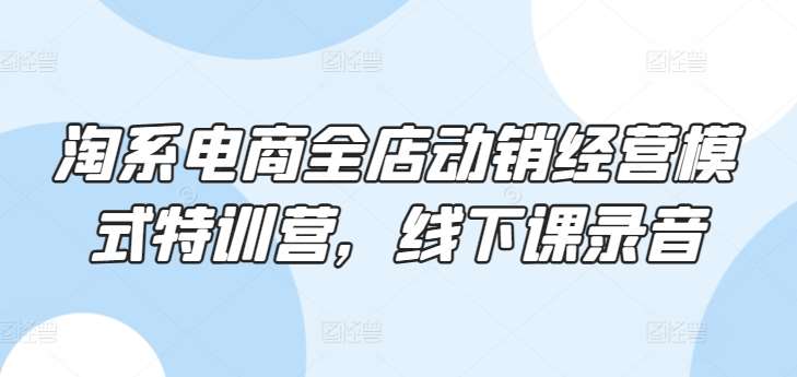 淘系电商全店动销经营模式特训营，线下课录音-千寻创业网