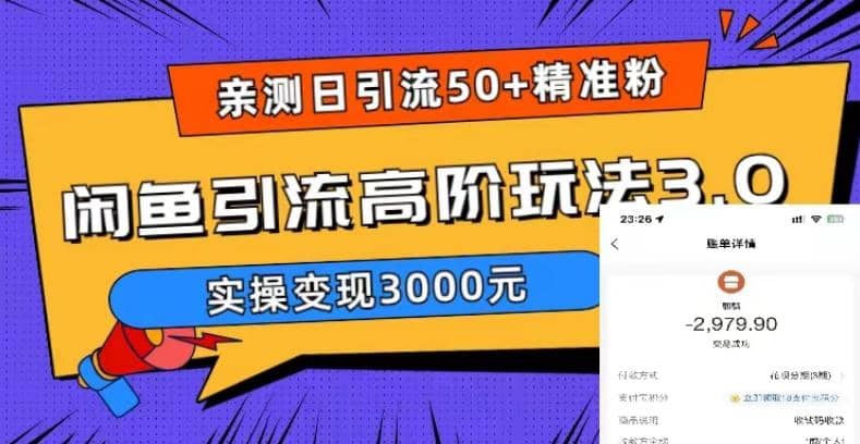 实测日引50+精准粉，闲鱼引流高阶玩法3.0，实操变现3000元-千寻创业网