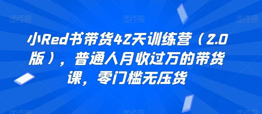 小Red书带货42天训练营（2.0版），普通人月收过万的带货课，零门槛无压货-千寻创业网