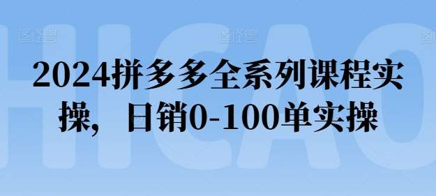 2024拼多多全系列课程实操，日销0-100单实操【必看】-千寻创业网