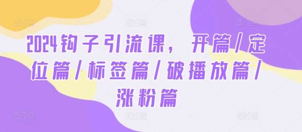 2024钩子引流课，开篇/定位篇/标签篇/破播放篇/涨粉篇-千寻创业网