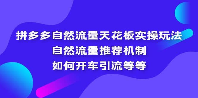 拼多多自然流量天花板实操玩法：自然流量推荐机制，如何开车引流等等-千寻创业网